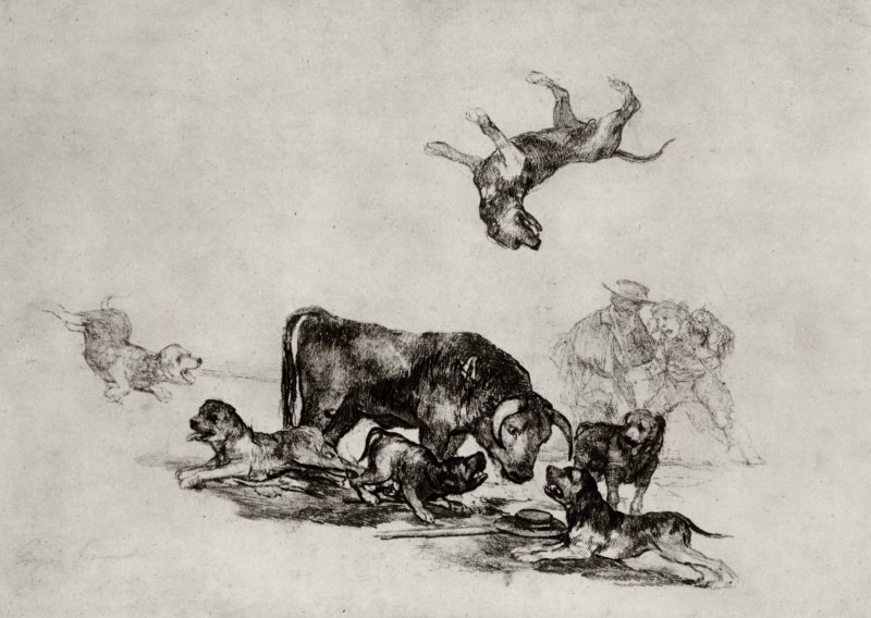 Франсиско Гойя собака в Песках 1820-1823 гг