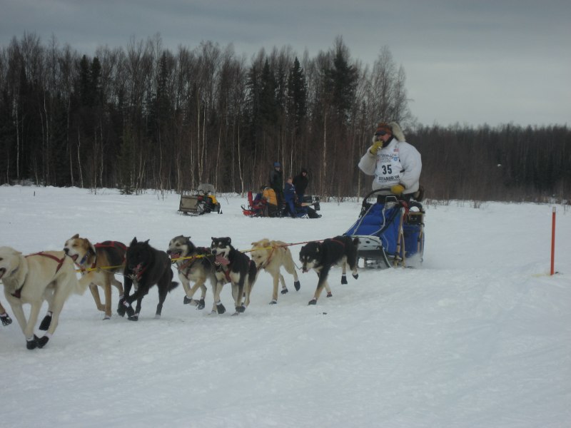 Айдитарод 2008 участники